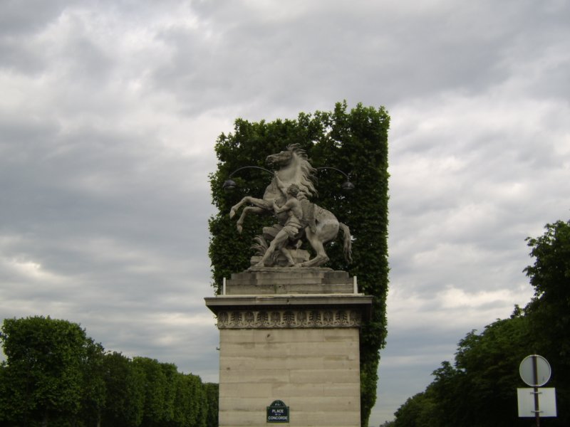 sta72872.jpg