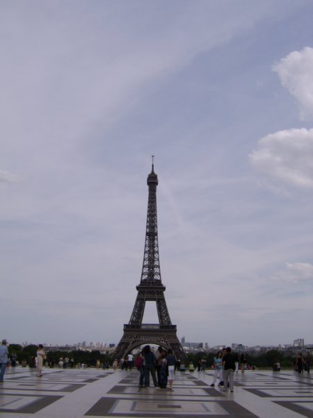 sta73068.jpg