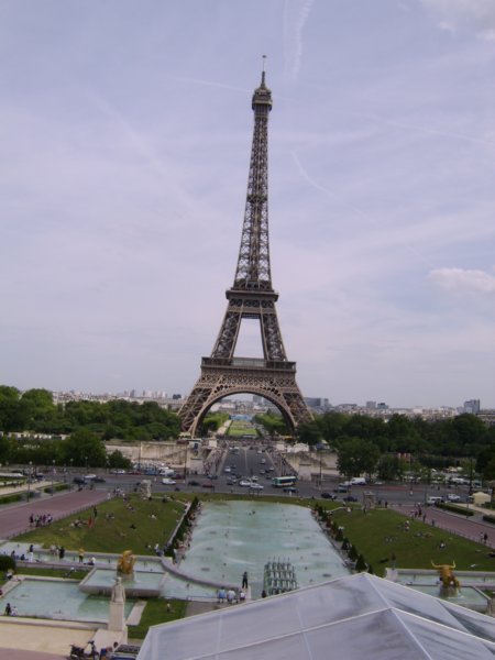 sta73078.jpg