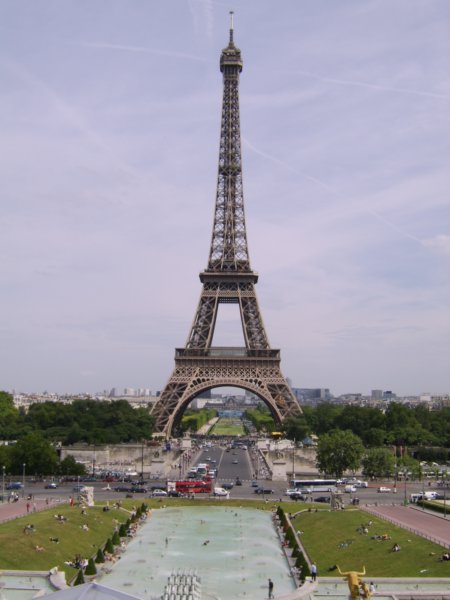 sta73079.jpg