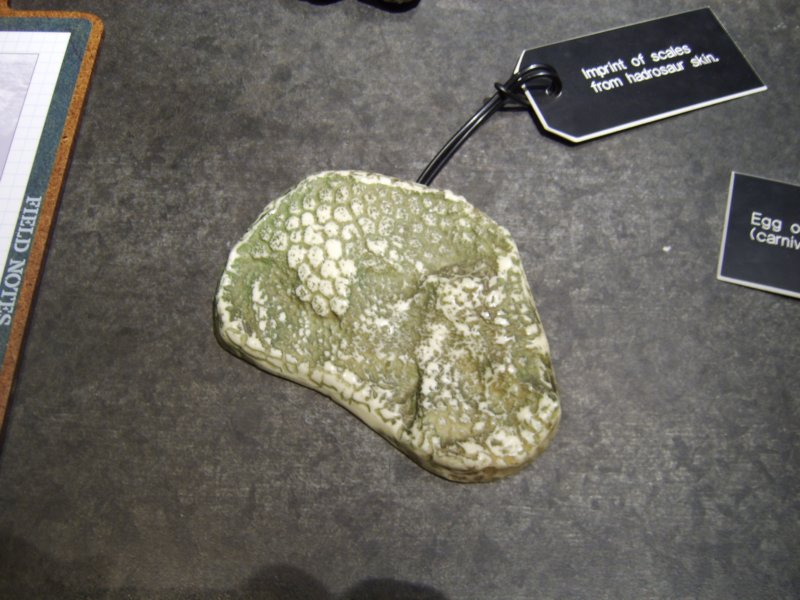 sta76334.jpg