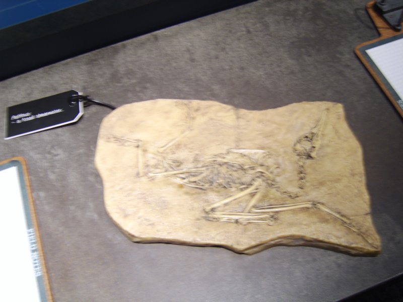 sta76340.jpg