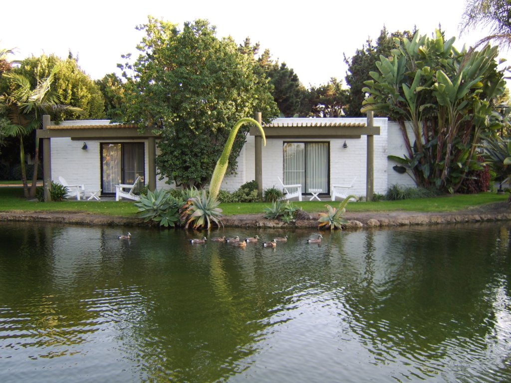 sta71290.jpg