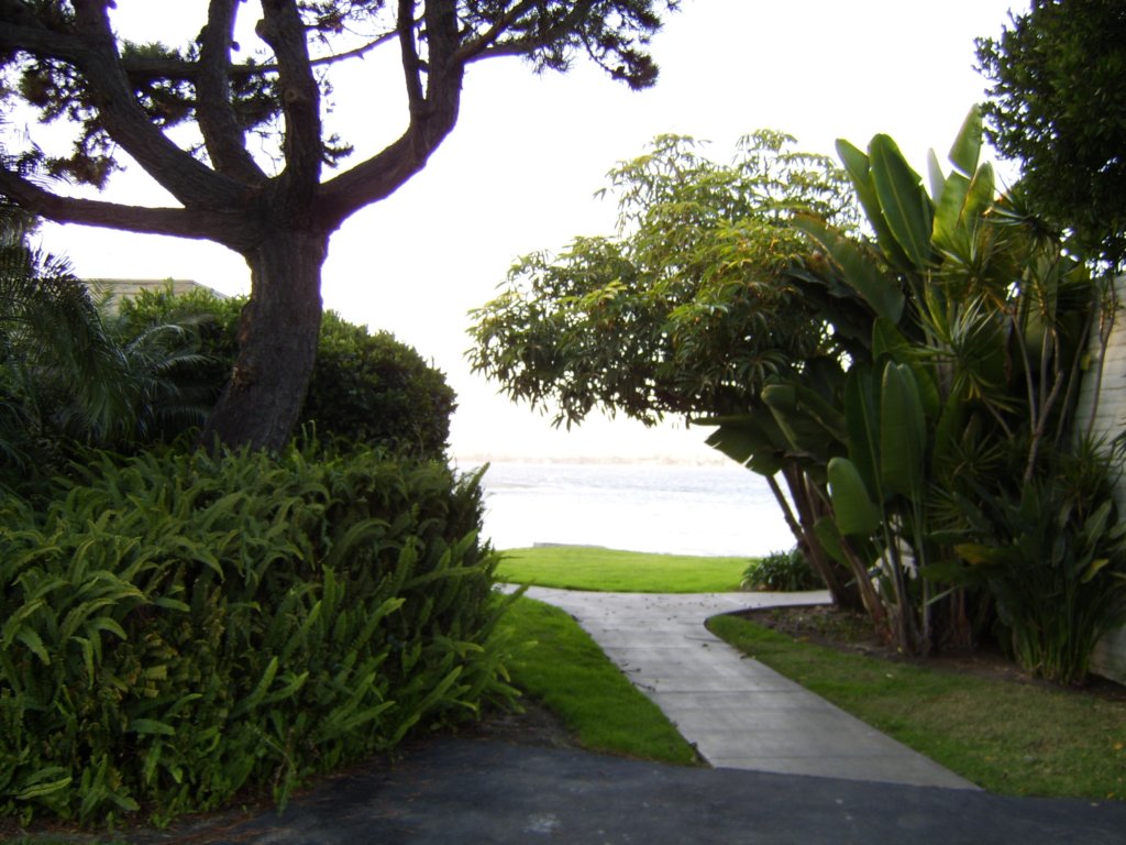 sta71300.jpg