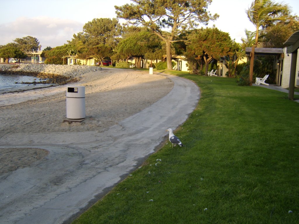 sta71301.jpg