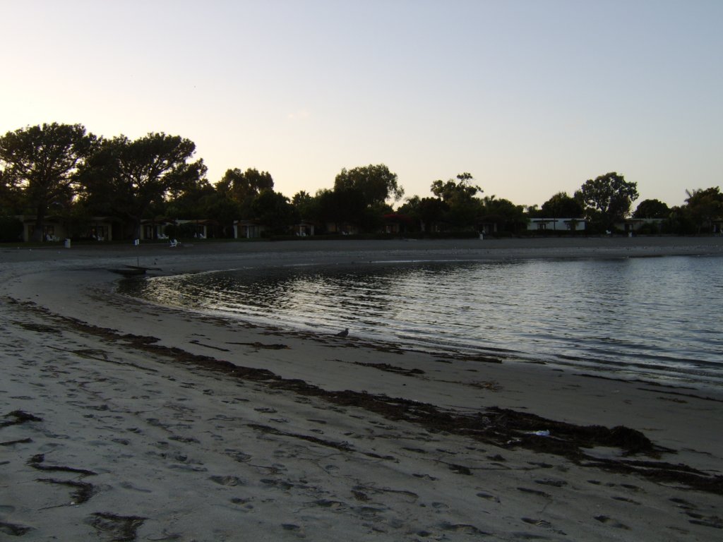 sta71306.jpg