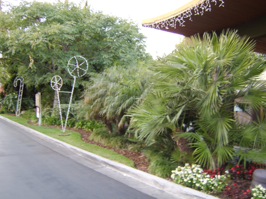 sta71321.jpg