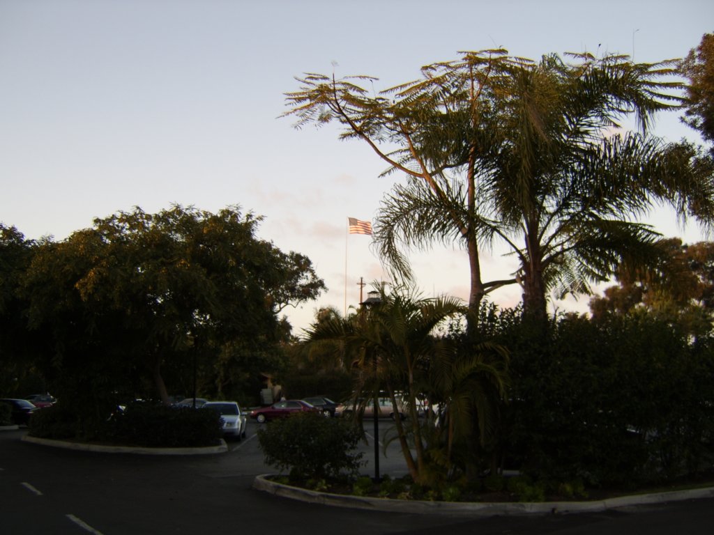 sta71334.jpg