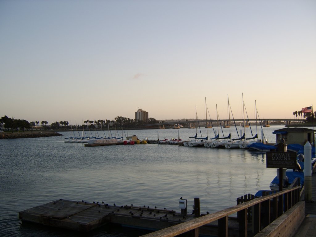 sta71338.jpg