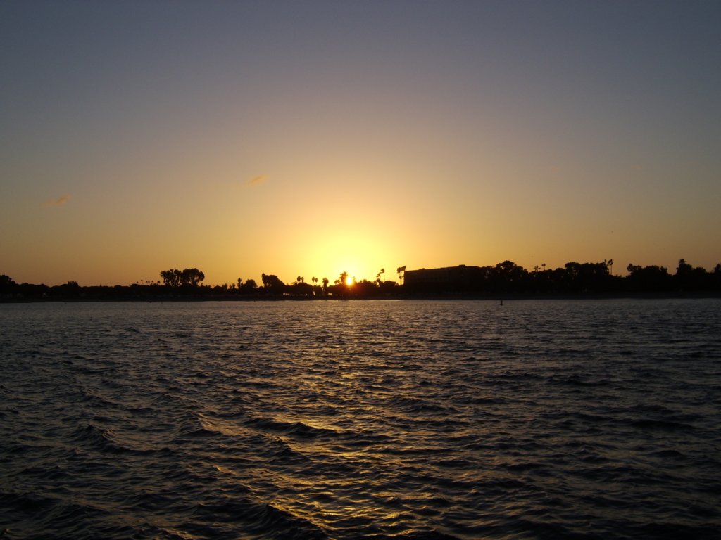 sta71342.jpg