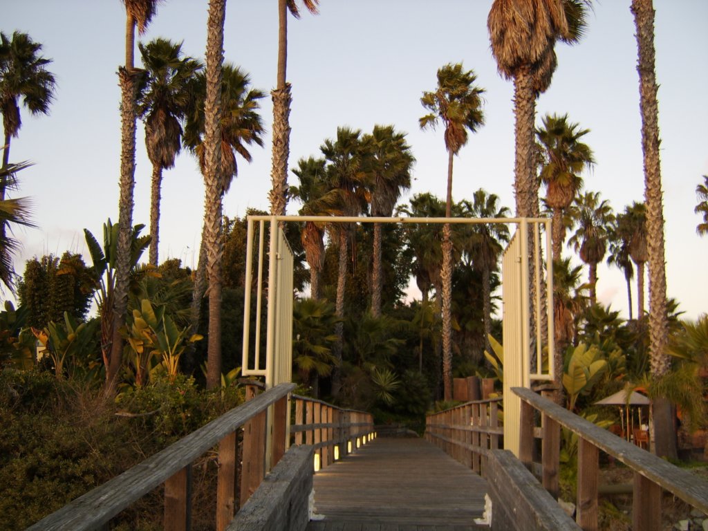 sta71346.jpg