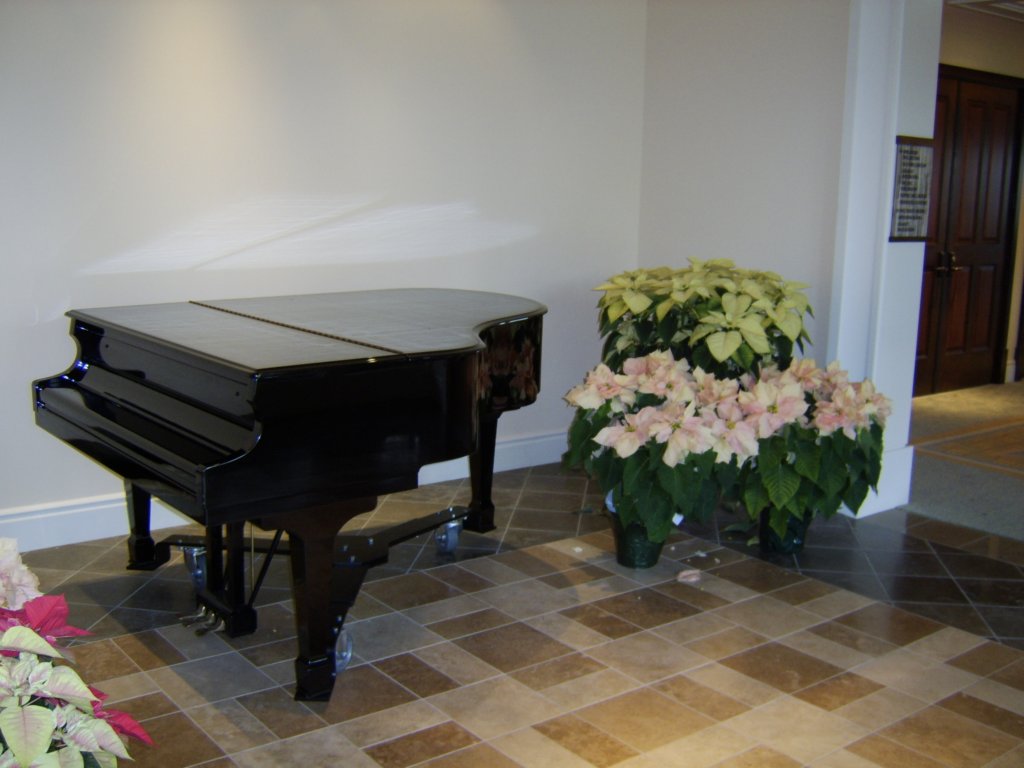 sta71380.jpg