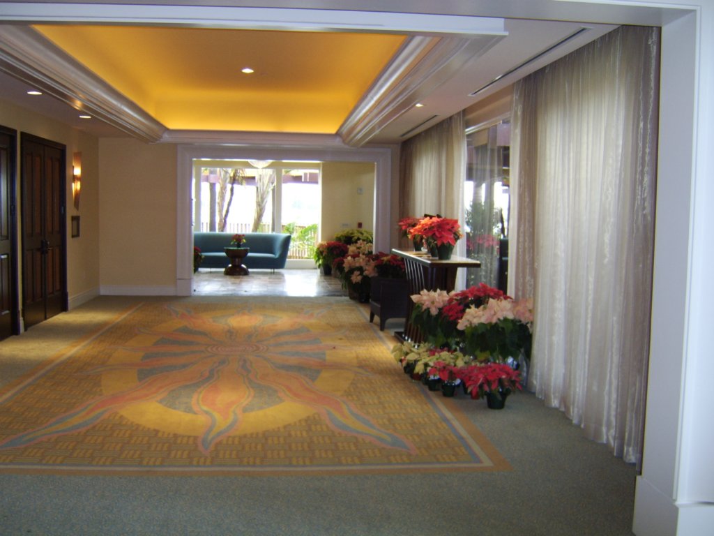 sta71381.jpg