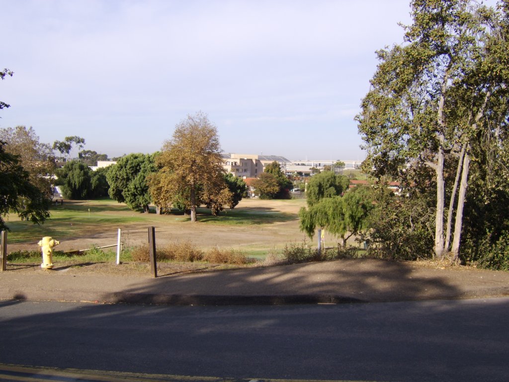 sta71479.jpg