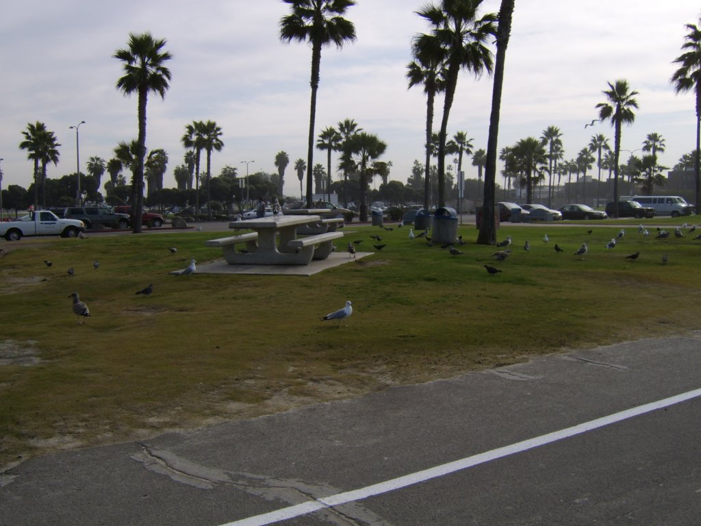 sta71521.jpg