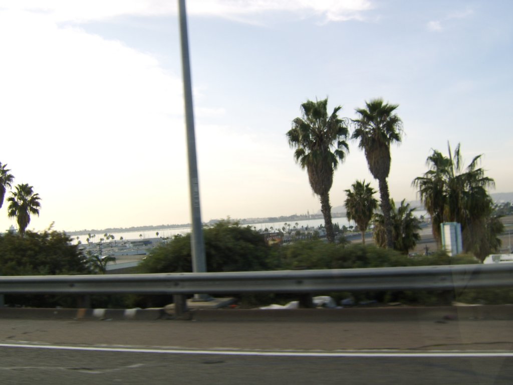 sta71543.jpg