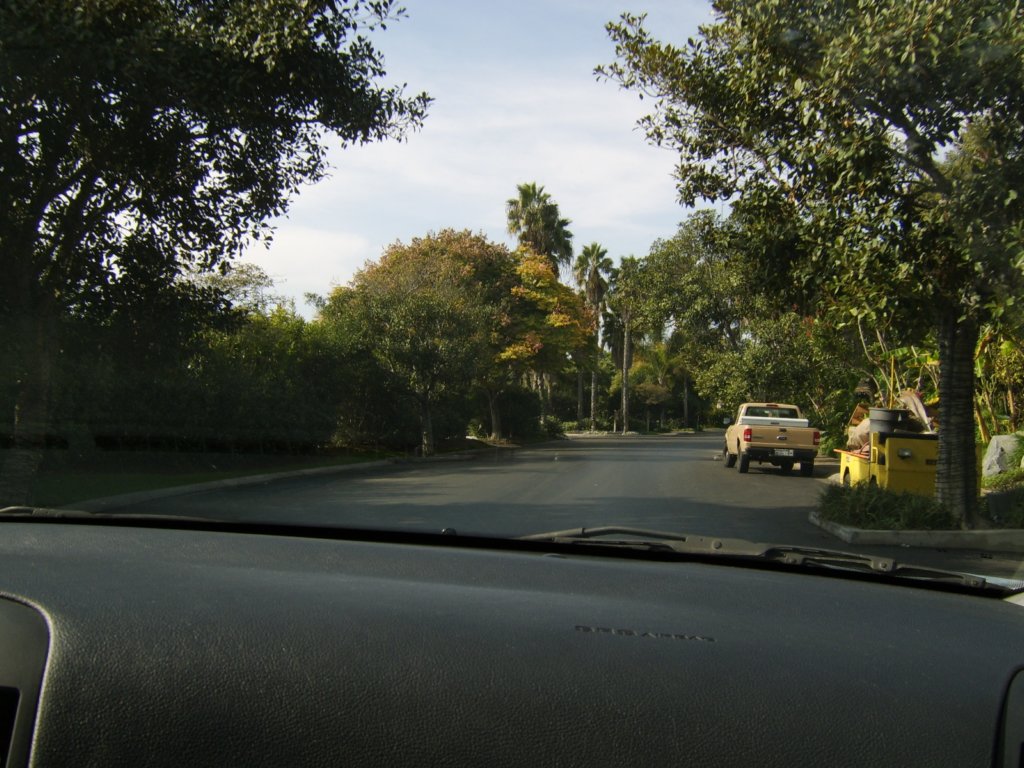 sta71597.jpg