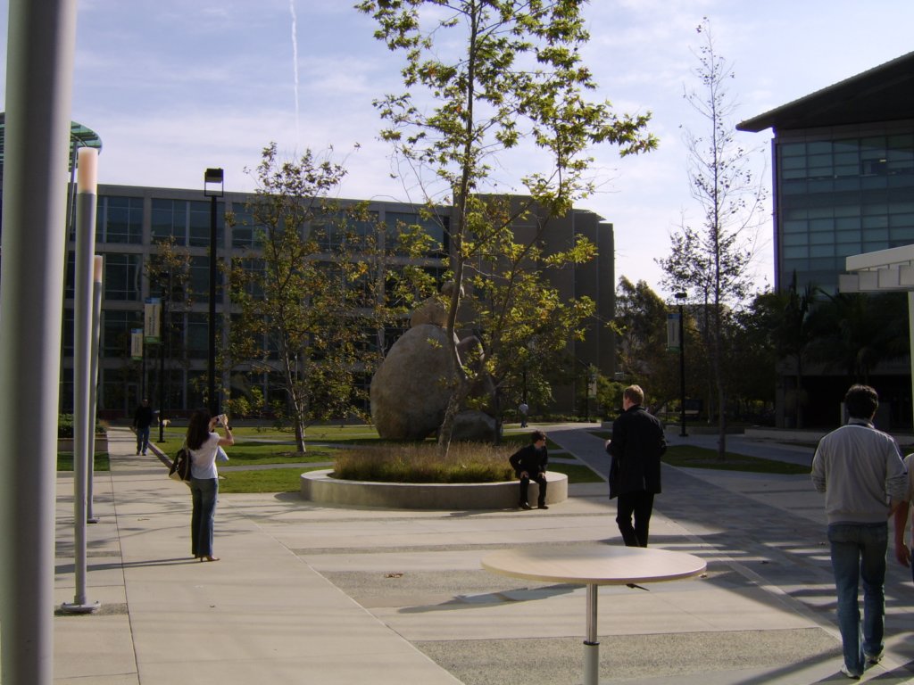 sta71604.jpg