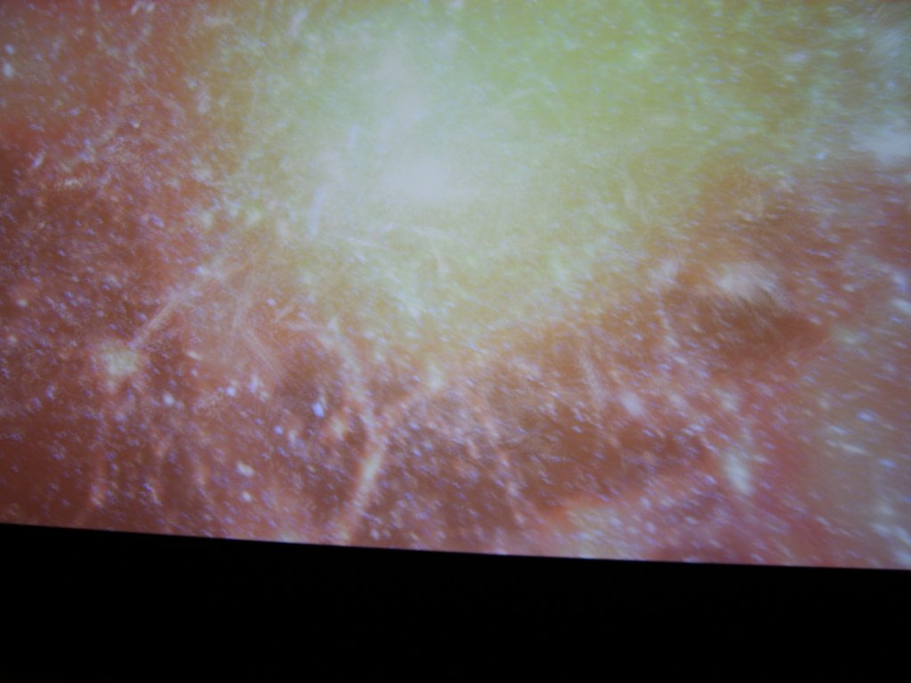 sta71611.jpg