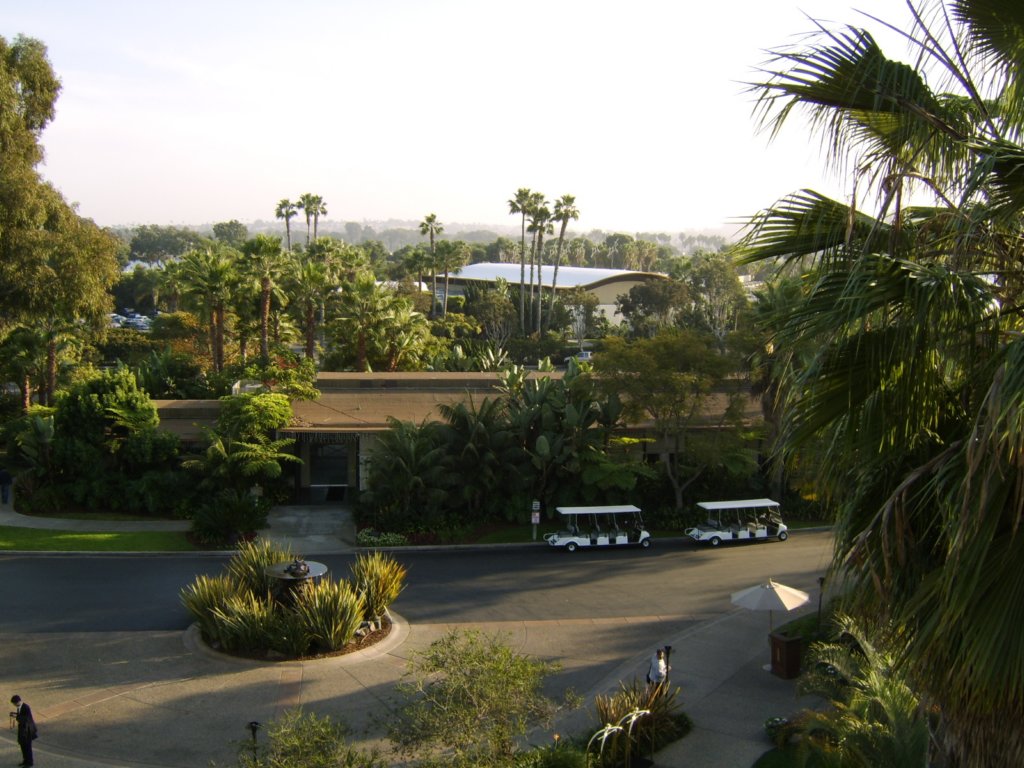 sta71645.jpg