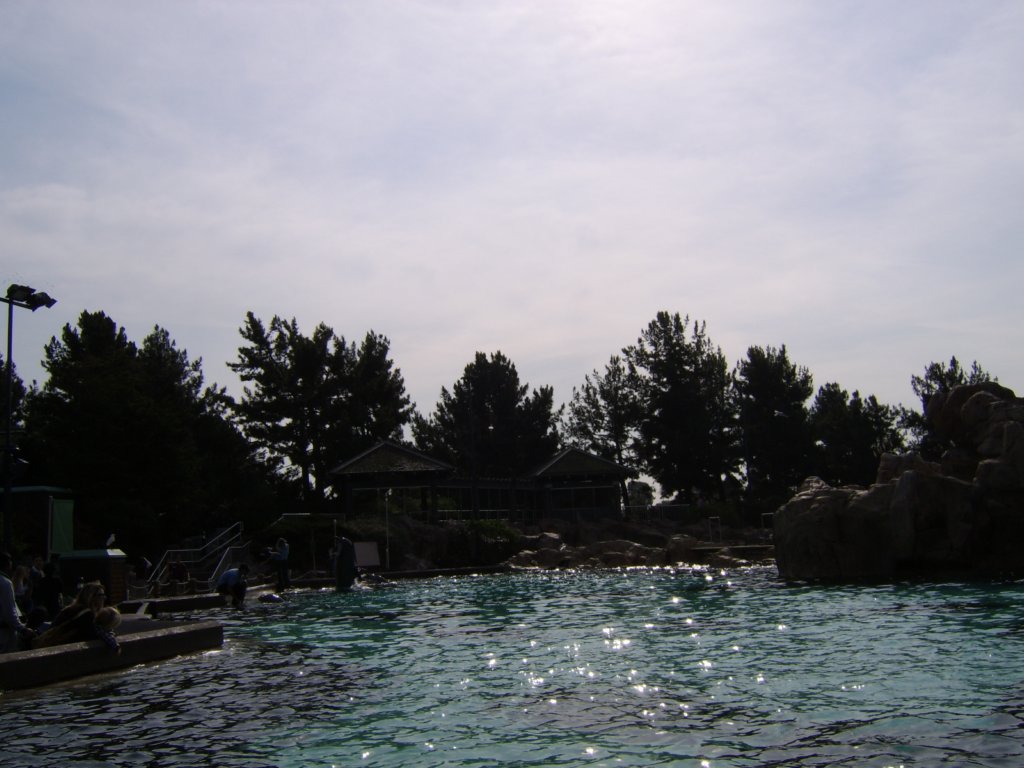 sta71703.jpg