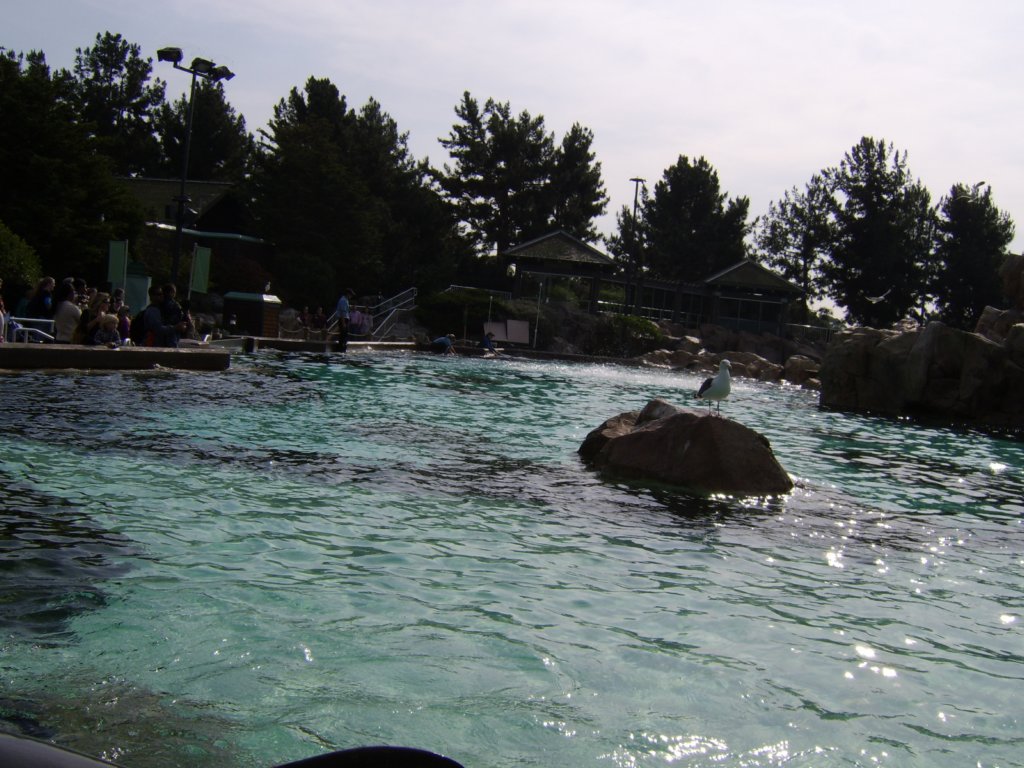 sta71705.jpg
