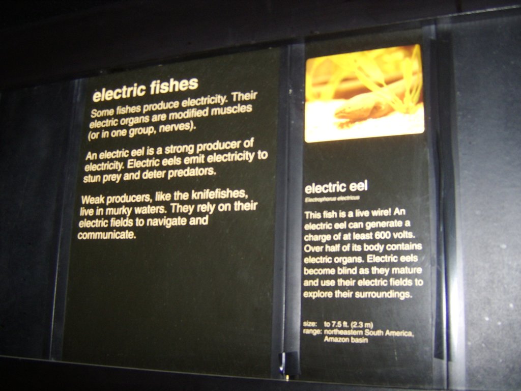 sta71760.jpg
