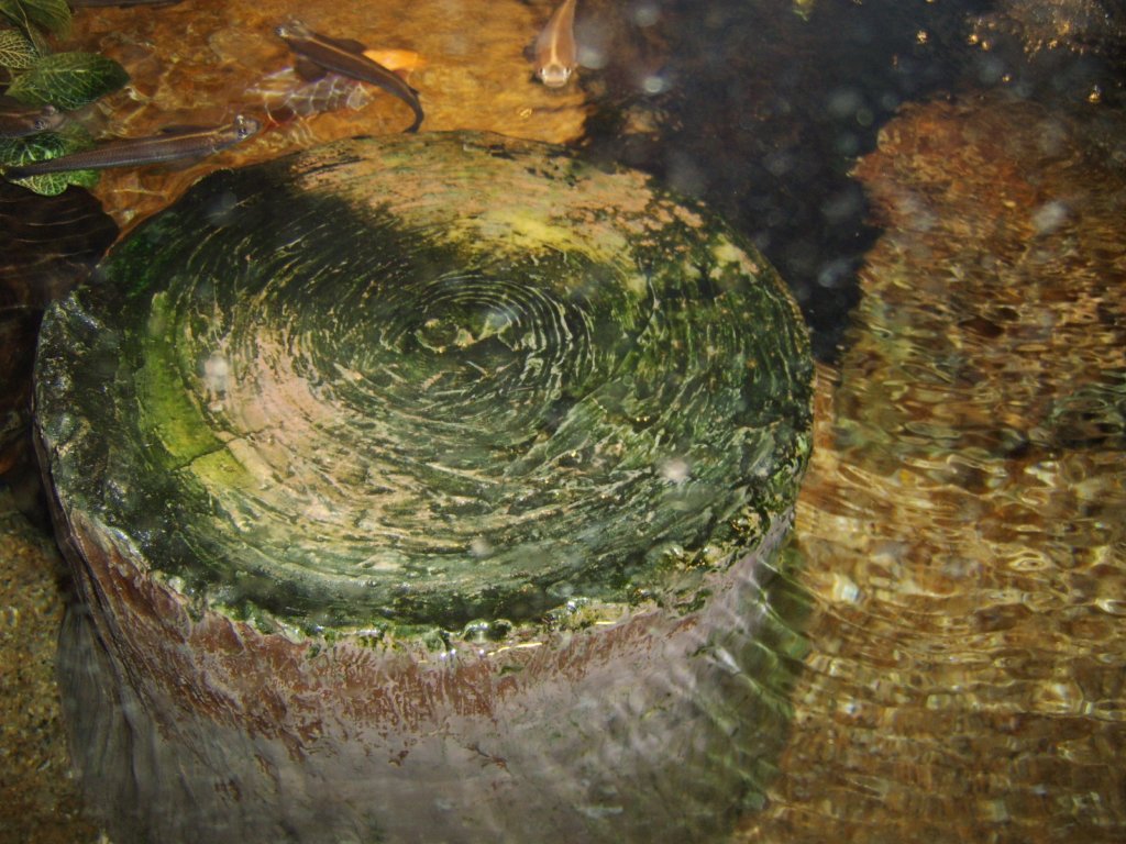 sta71764.jpg