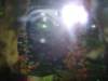 sta71779_small.jpg