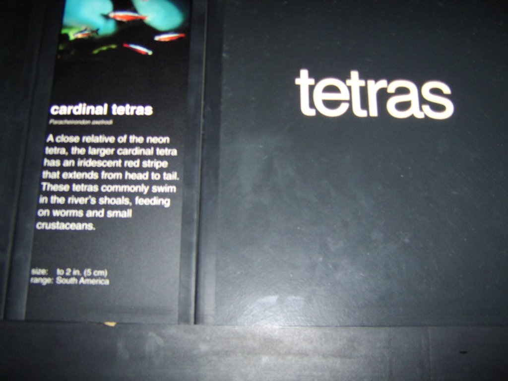 sta71780.jpg