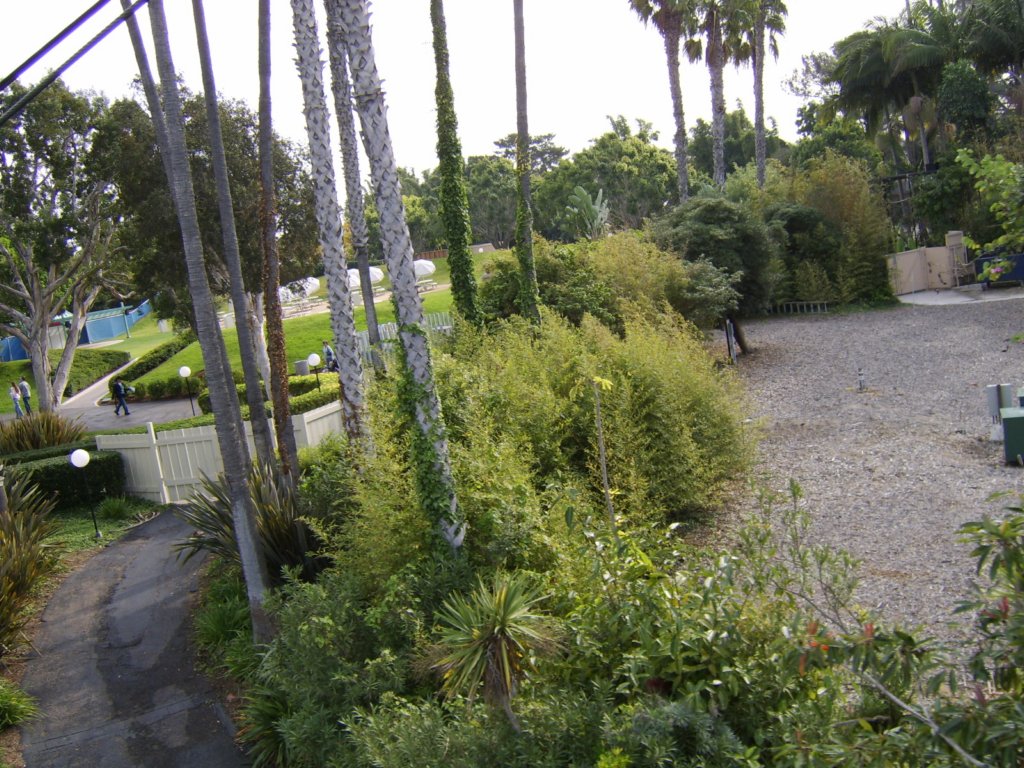 sta71824.jpg