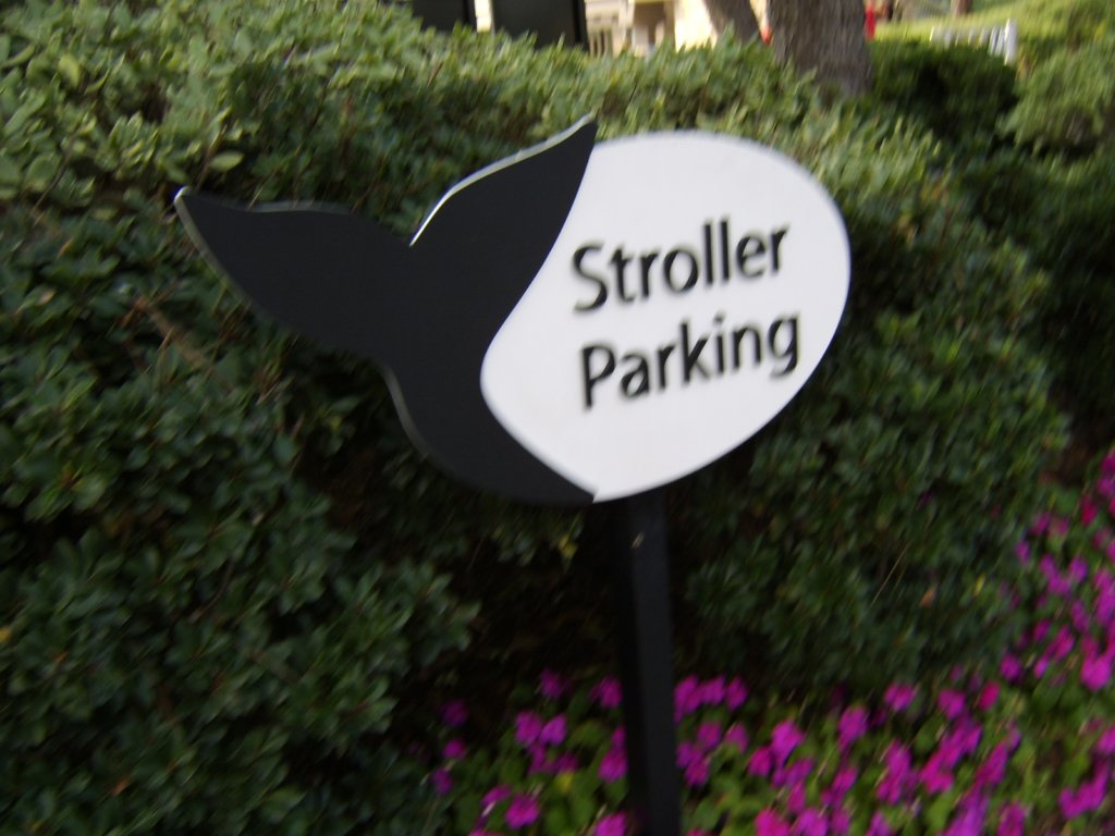 sta71846.jpg