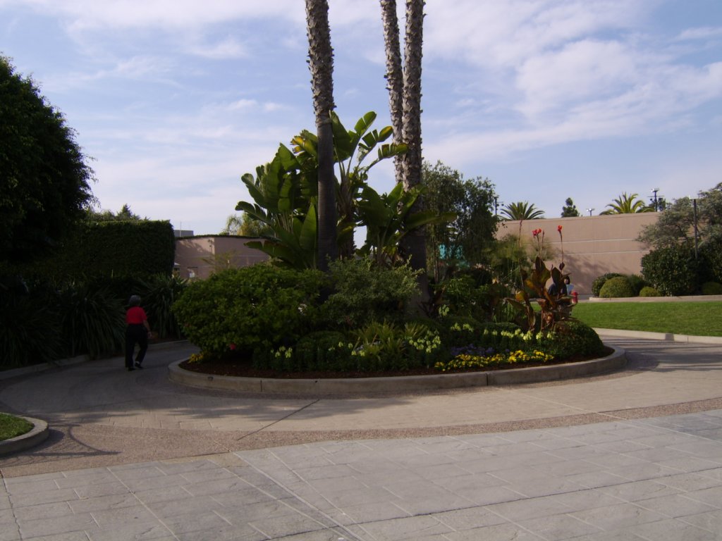 sta71852.jpg