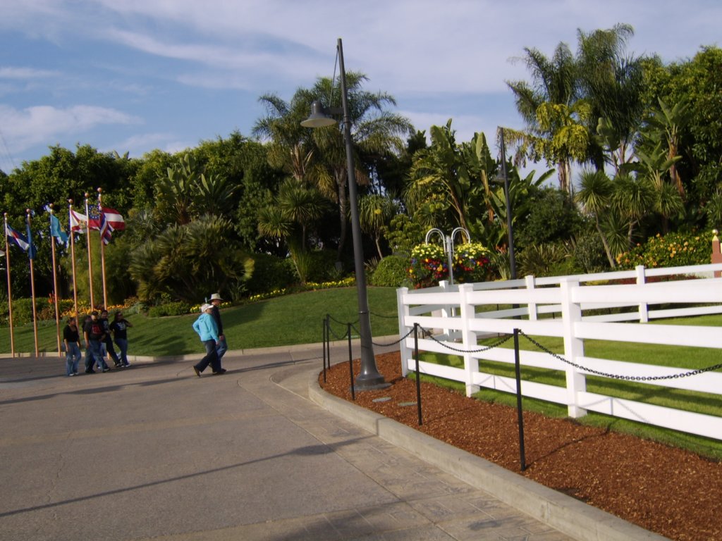 sta71856.jpg