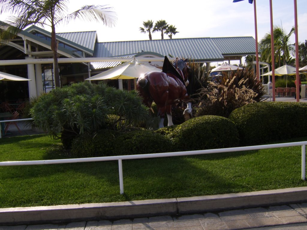 sta71857.jpg
