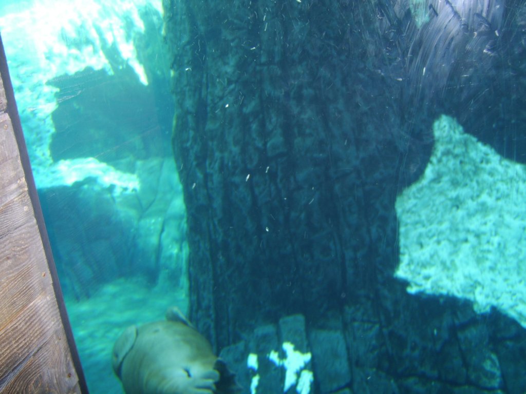 sta71879.jpg