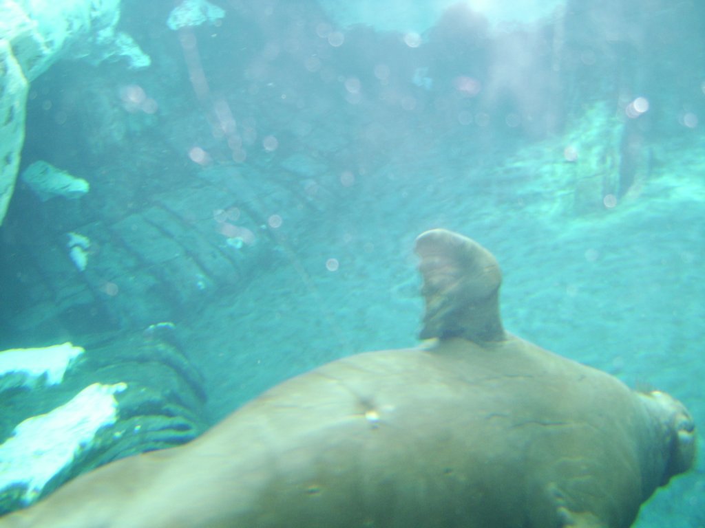 sta71882.jpg