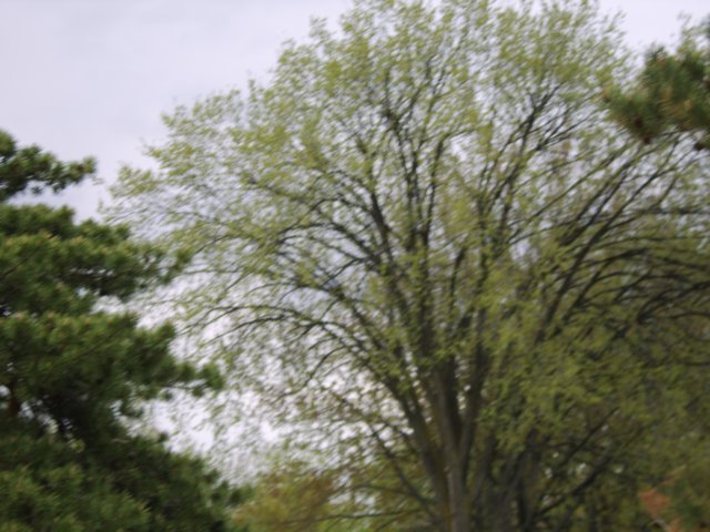 sta70442.jpg