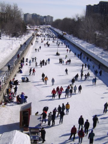 sta70050.jpg