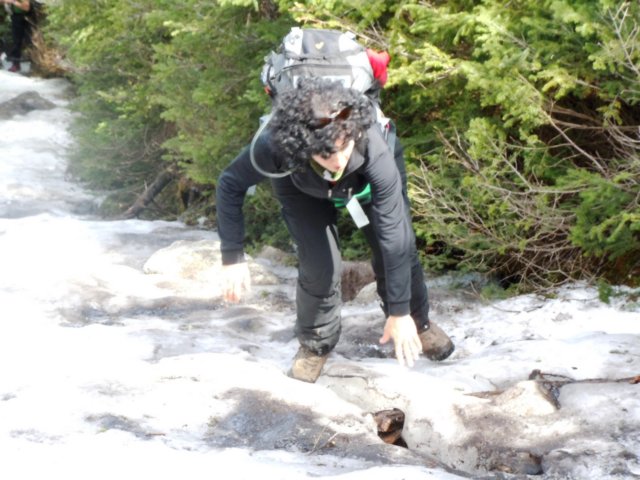 algonquinpeaktrail6.jpg