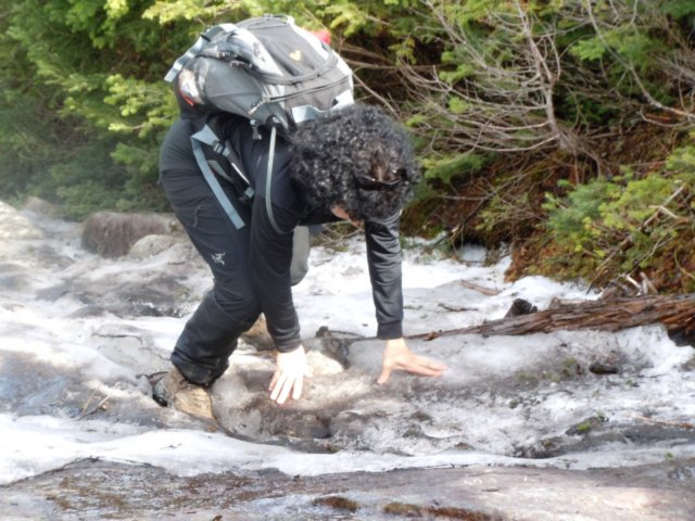 algonquinpeaktrail7.jpg