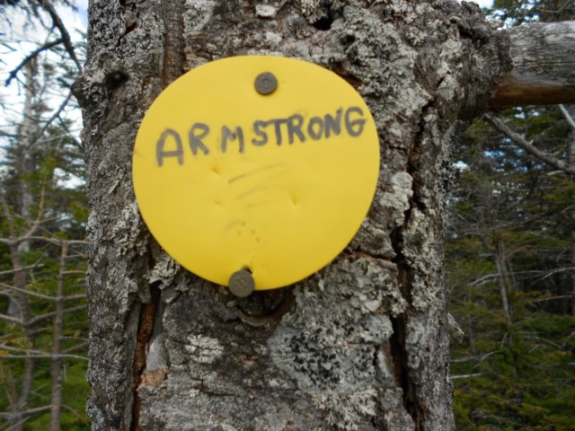 dscn8698.jpg