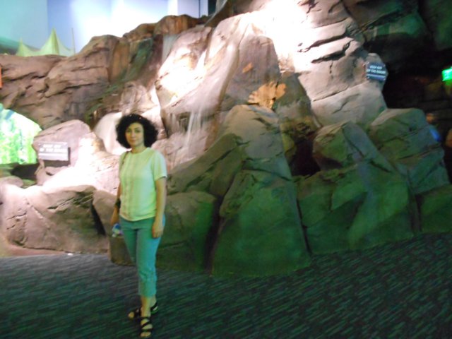 dscn9396.jpg