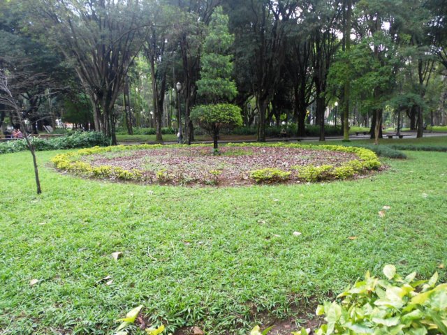 dscn0617.jpg