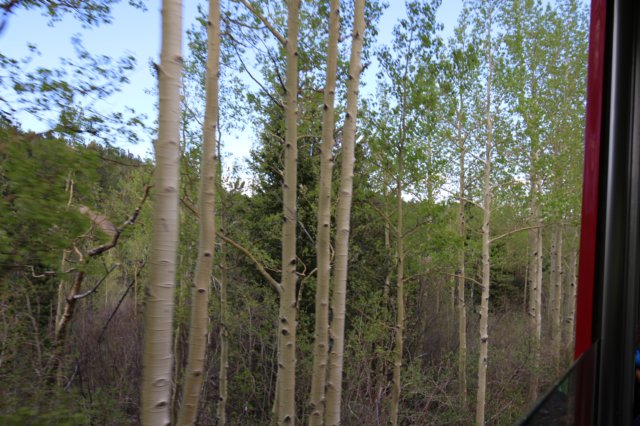 img_3573.jpg