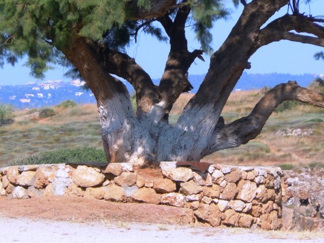 creta0720117.jpg