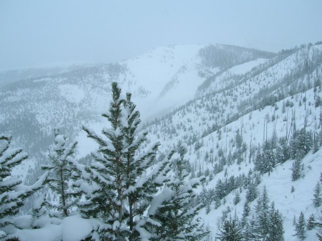 dscn1994.jpg