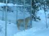 dscn2033_small.jpg