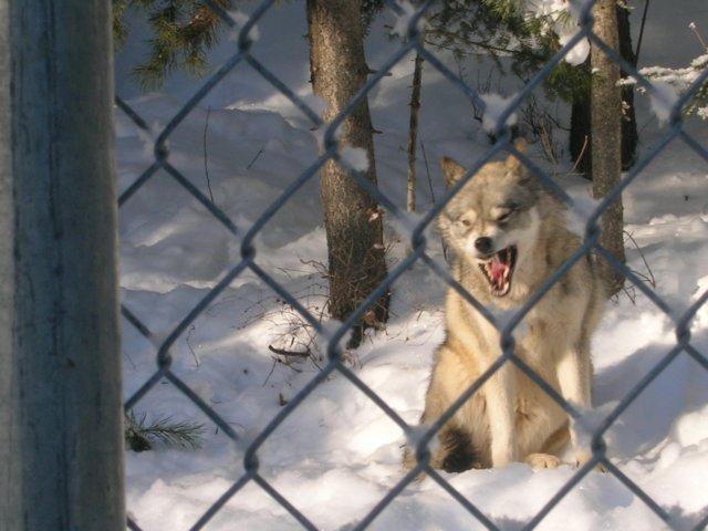 dscn2055.jpg