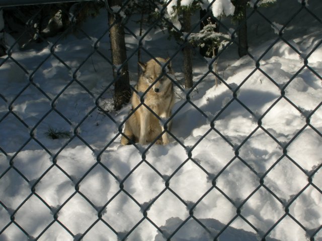 dscn2059.jpg
